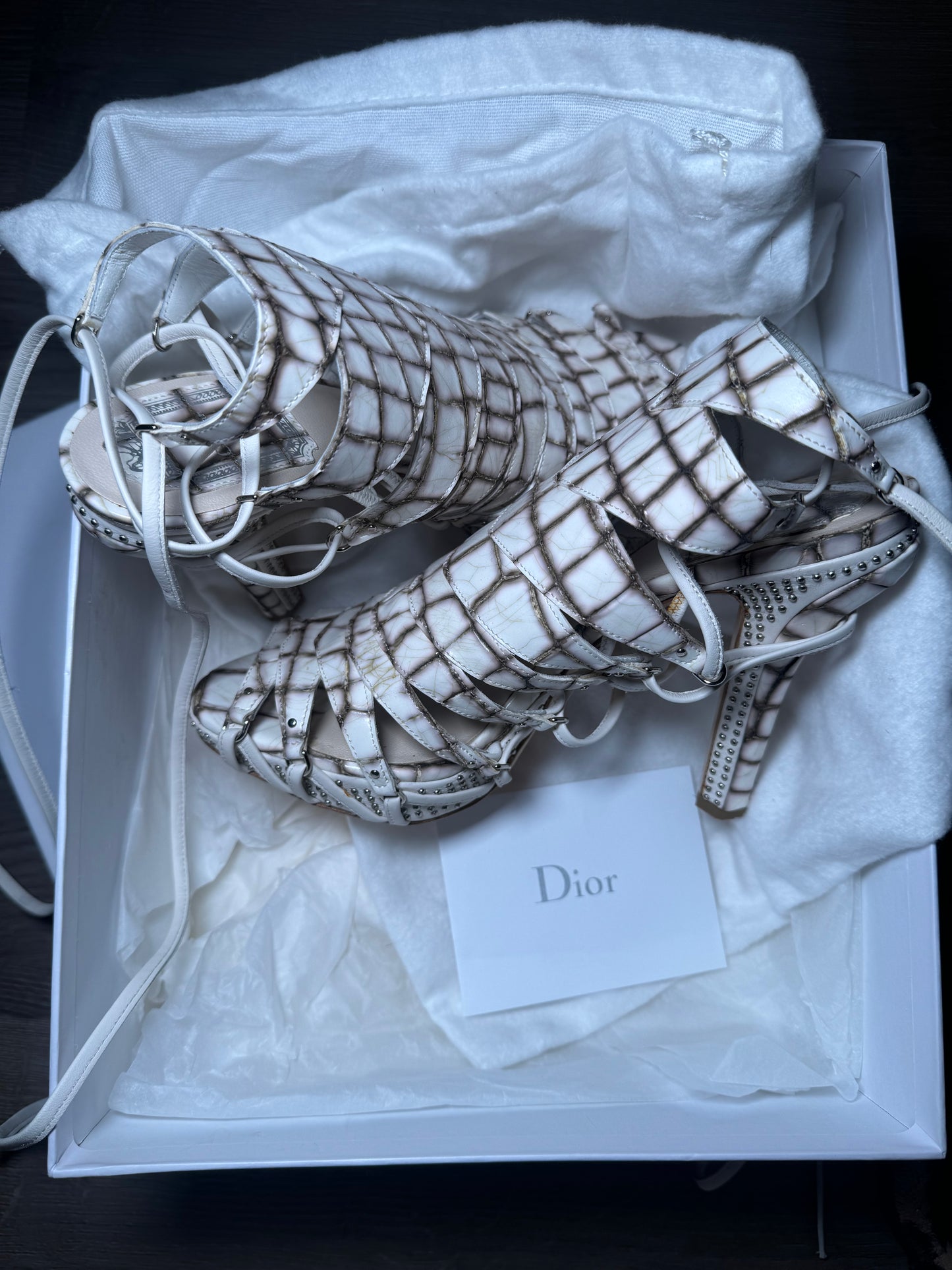 Christian Dior Spring/Summer 2009 "Safari"
Runway Crocodile Embossed Lace Up Heels